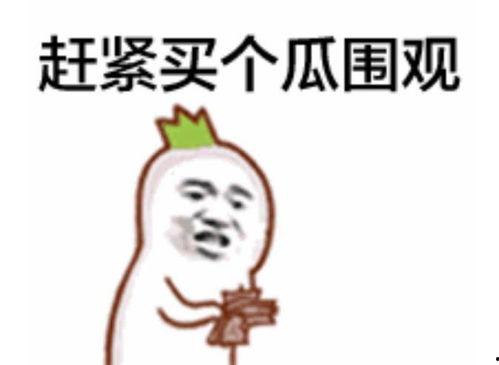 吃瓜群众百度百科下载